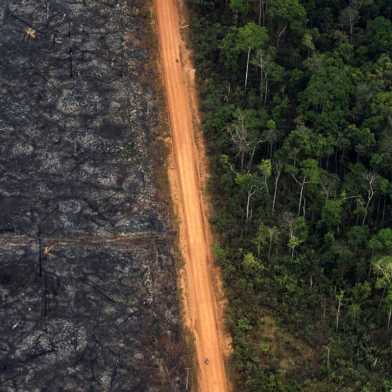 Luftansicht der Entwaldung im brasilianischen Amazonasgebiet